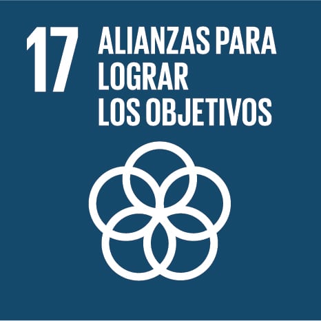 objetivos